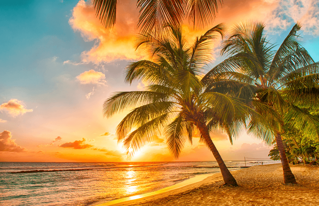 Barbara Gates Travel Agency